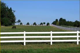 vinyl 3 rail  horse fence