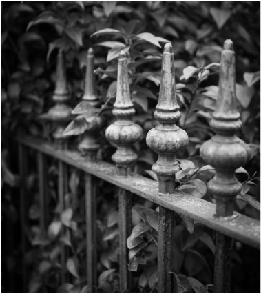ornamental fence panel 