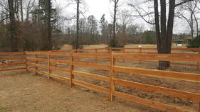 farm livestock horse posts and rail